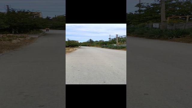 Одно из главных правил в жизни...