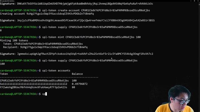 Solana Tutorial: Minting and sending Tokens and NFTs Part 1: CLI смотреть онлайн