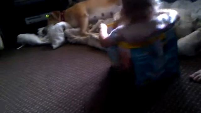 My little sister in a pampers box смотреть онлайн