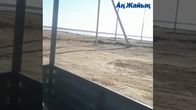 Суровые нефтяники Кошкара спасли пять пар лебедей. Это было трогательно смотреть онлайн