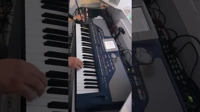 PA800 Çiftetelli Düğün Canlı Yayın смотреть онлайн