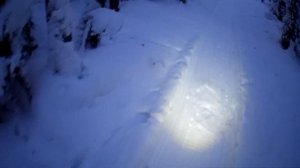 На приваде остался один Матёрый Лис / Проверяю капканы / Охота на Лису капканами Сезон 21-22