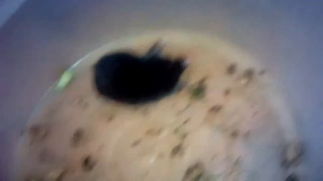 Я поймала детёныша крота! :3 смотреть онлайн