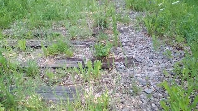 VID_20230620_085900.mp4 смотреть онлайн