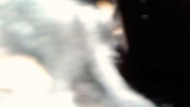 Это Бусинка! смотреть онлайн