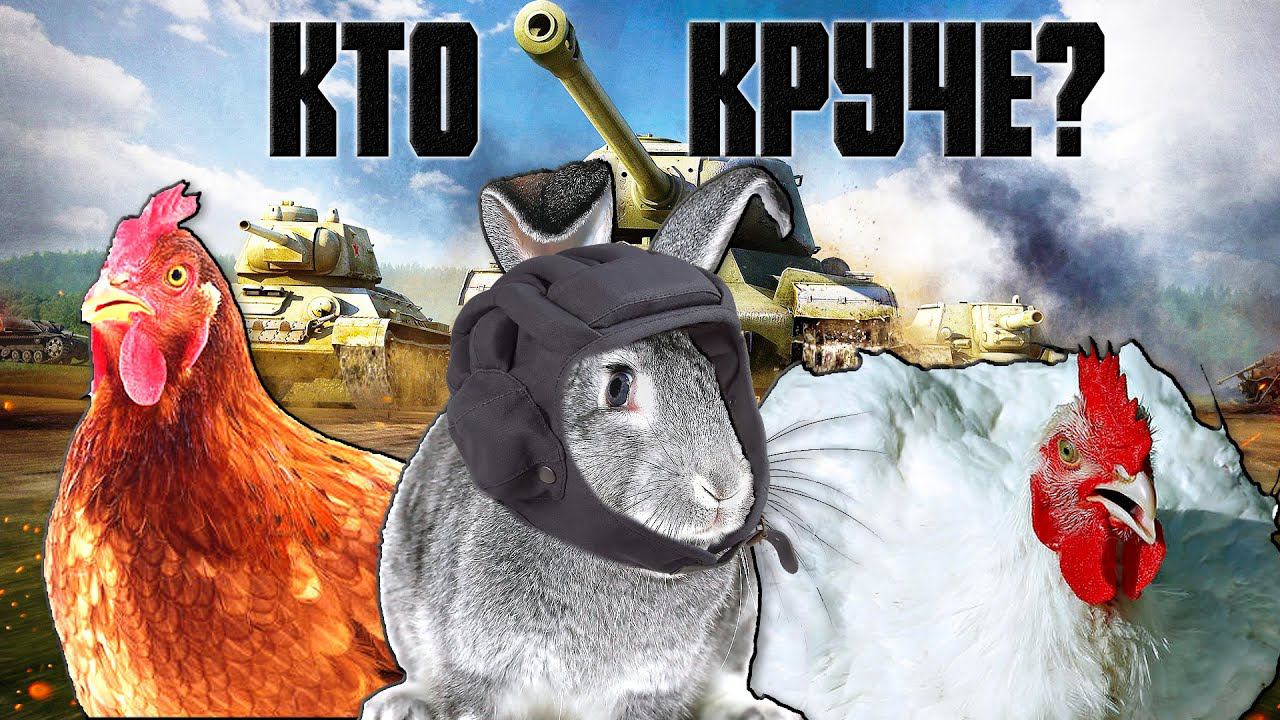 Куры, бройлеры или кролики / Кто выгоднее? смотреть онлайн