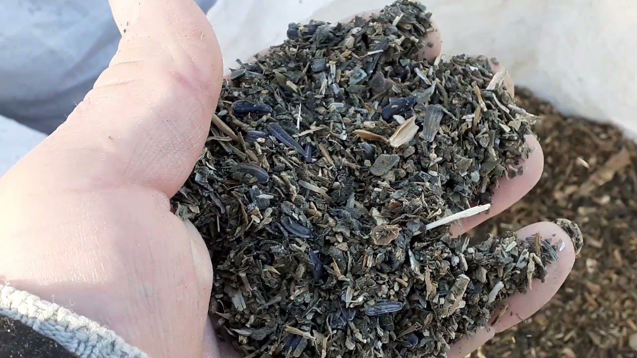 сюрприз от соседей... смотреть онлайн