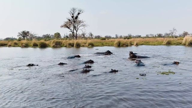South Africa 4K - Scenic Relaxation Film With African Music