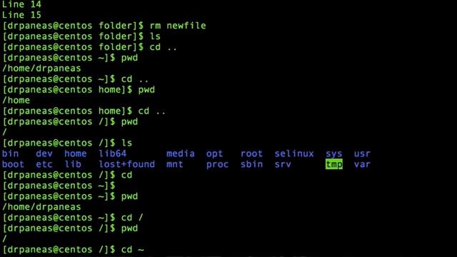 Create, Copy, Rename, Move, Delete files and folders in Linux terminal смотреть онлайн