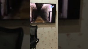 Взлом канал карусель часть 2