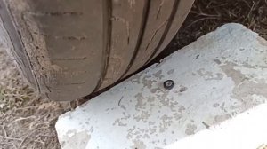 Проверка биения шины