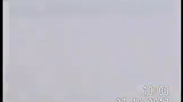 ПОЛЕВОЙ ЛУНЬ(самец) В ПОИСКАХ ДОБЫЧИ смотреть онлайн