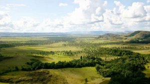 Джеральд Даррелл "Под пологом пьяного леса". С иллюстрациями. часть 3