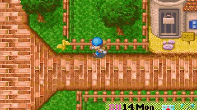 Let's Play Harvest Moon: Friends of Mineral Town 25: Vet Visit смотреть онлайн