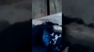Чистим фильтр на МТЗ 82