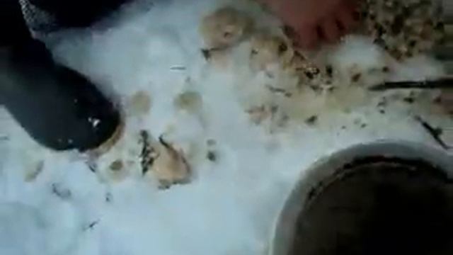 Ловля живца 2 смотреть онлайн
