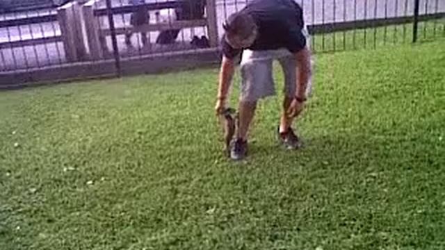 paseo en el parque.3GP смотреть онлайн