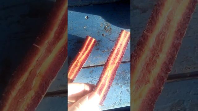 Фиолетовая морковь.Окрашивает квашеную капусту в розовый цвет,а овощной суп в красивый и аппетитны смотреть онлайн