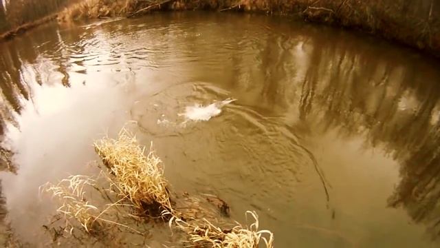 Ловля щуки осенью на малой реке смотреть онлайн