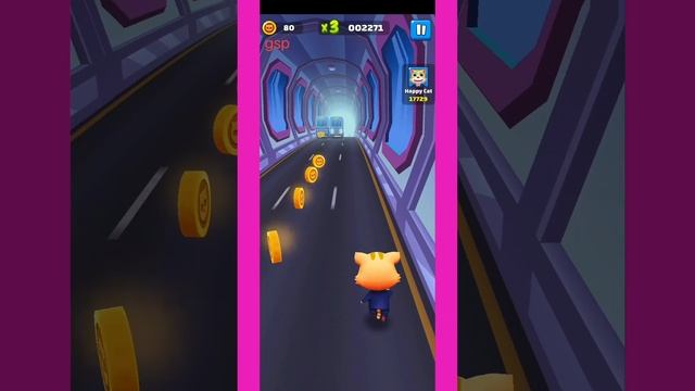 cat running go to collect coin ! दौड़ती हुई बिल्ली सिक्का लेने जाती है ! смотреть онлайн