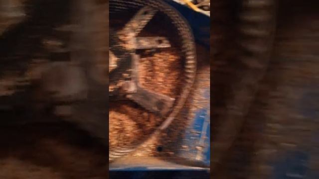 Обзор зернодробилки ЗУБР-1С смотреть онлайн