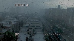 ЗОВ | Страшная история на ночь | Черный Рик