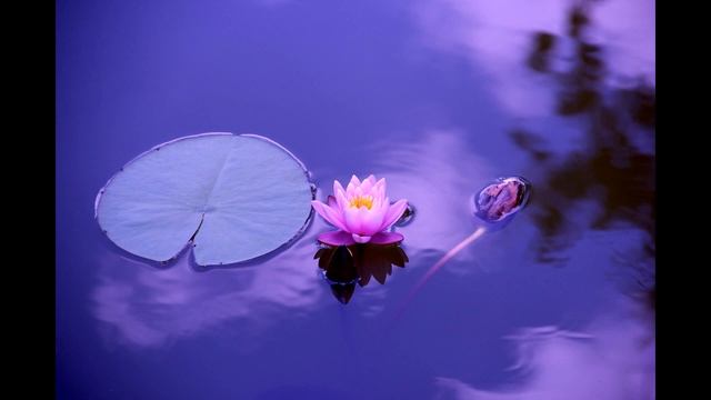 Relax music, meditation, yoga, sounds of nature, звуки природы, медитации смотреть онлайн