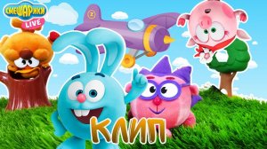 СМЕШАРИКИ: Клип на песню ВЕСТИБУЛЯРНЫЙ АППАРАТ! КАРАОКЕ !