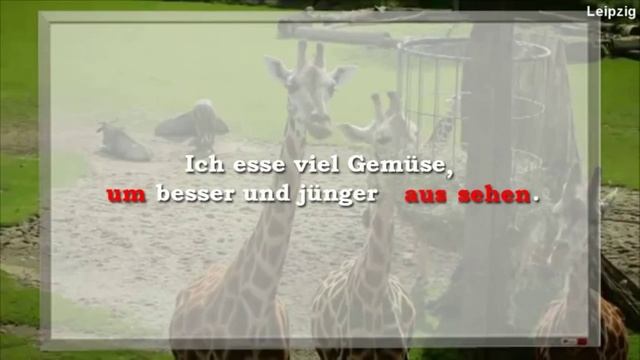 Nr. 20 Geld In Verschiedenen Ländern