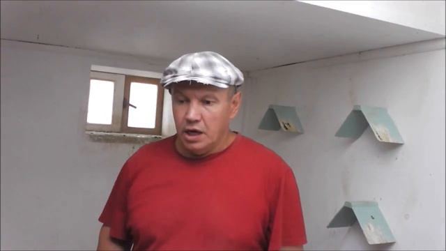Пермские голуби Зуфара смотреть онлайн