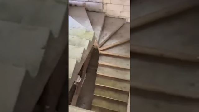 Монолитная лестница с забежными ступенями смотреть онлайн