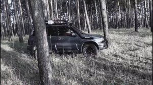 Страшный лес. Сузуки Гранд Витара. Брод