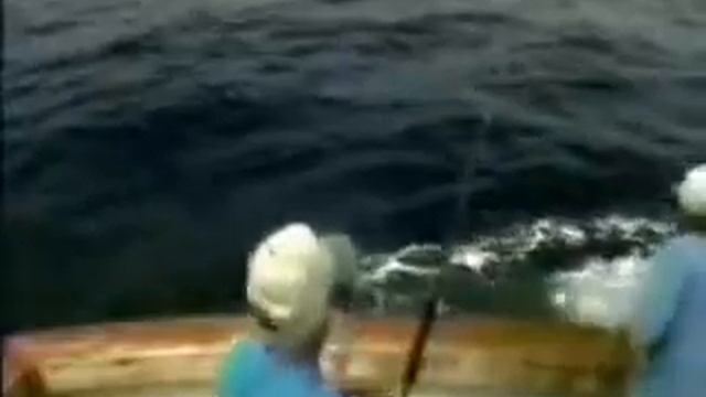 85 249 138 18 81 169 229 80 4278 2 88M смотреть онлайн