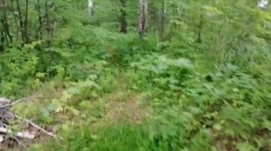 Лодочный мотор гибрид ветерок +чемпион.