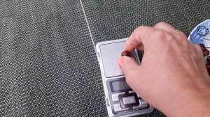 Виксне - красная смородина (Латышский сорт)