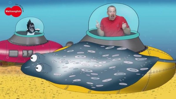 Sea Animals for Kids from Steve and Maggie Stories _ Free Speaking Wow English TV