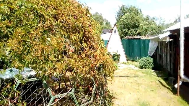 Пергола 3d Hive изнутри и снаружи