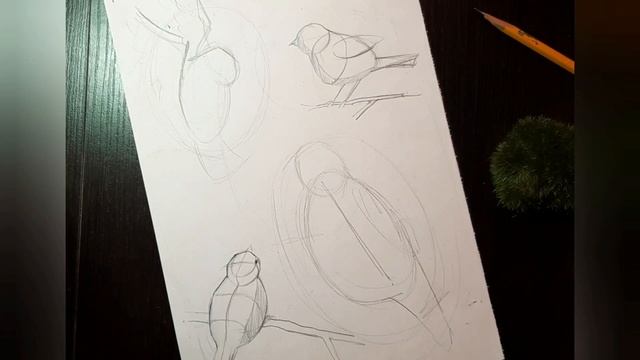 Птицы.Плоскости и объем смотреть онлайн