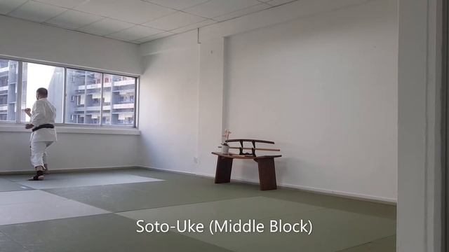 Yellow Belt (8th Kyu) - JKA Kihon смотреть онлайн