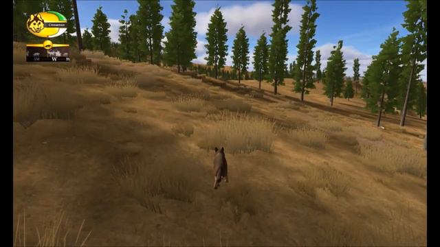 (Wolf Quest) ep 2- Quest For A Mate смотреть онлайн