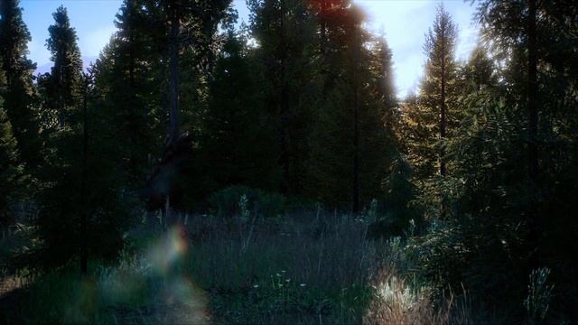 Dinosaur Forest Ambience | Jurassic, and Cretaceous periods | Dinosaur Herds смотреть онлайн