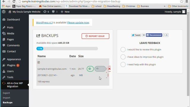 Websites for Doulas: Performing a Manual Update in WordPress смотреть онлайн
