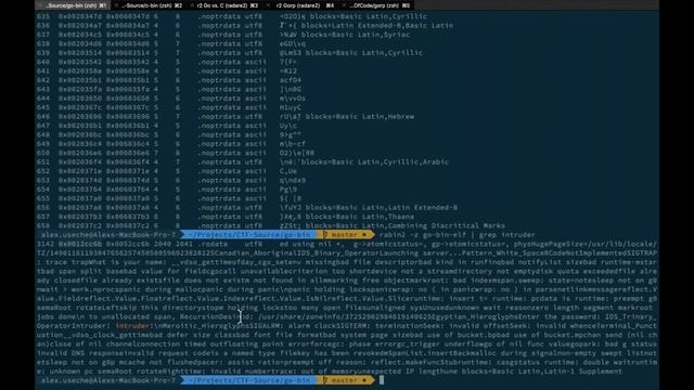 Anatomy of a Gopher - Binary Analysis of Go Binaries - Alex Useche смотреть онлайн
