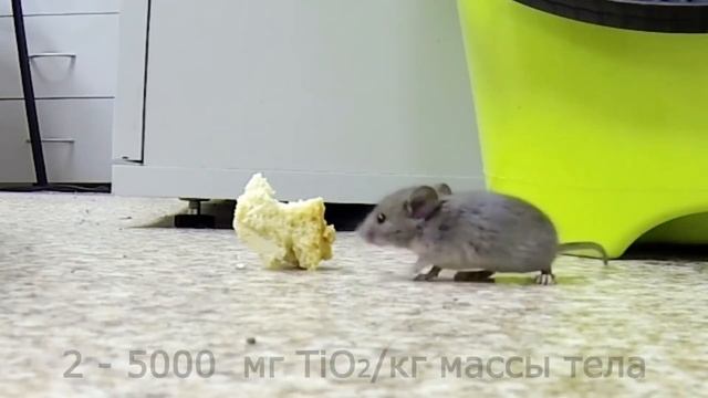ДИОКСИД ТИТАНА. В продуктах, красках, пластике. Сколько яда(?) в зефире? смотреть онлайн