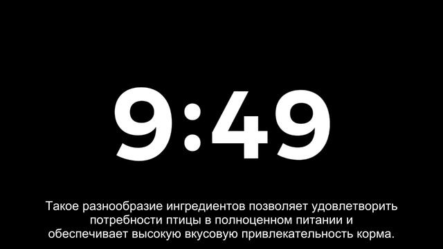 Кормление щеглов смотреть онлайн