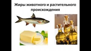 Жиры животные и растительные