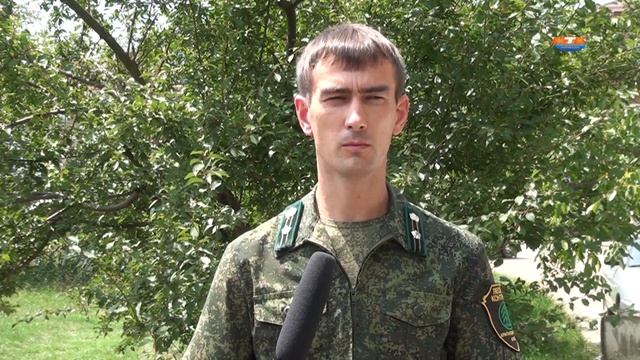 Внимание змеи! смотреть онлайн