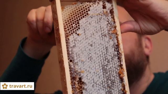 Как отличить настоящий мёд от поддельного смотреть онлайн