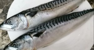 Скумбрия малосольная целиком. Скумбрия пряного посола