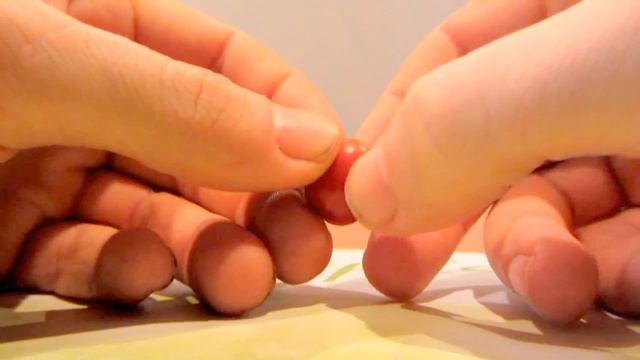 Кофейное дерево, первые плоды, посев семян. смотреть онлайн
